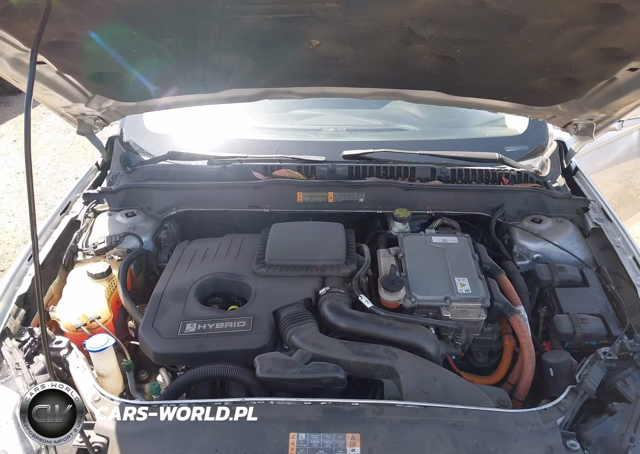 2017 Ford Fusion Hybrid Se VIN:3FA6P0LU3HR313744 - 10