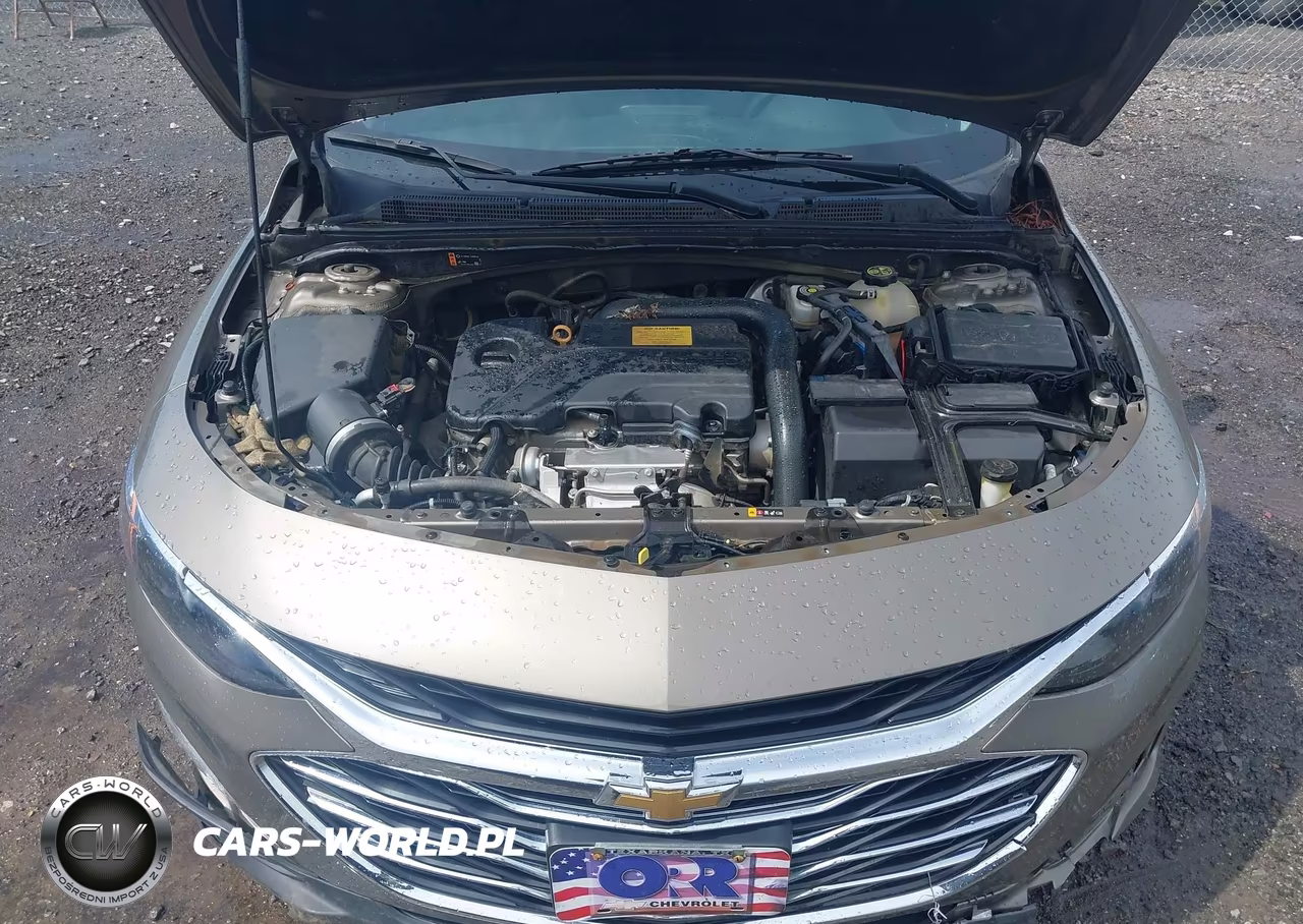 2020 Chevrolet Malibu Fwd Lt VIN:1G1ZD5ST0LF010229 - 10
