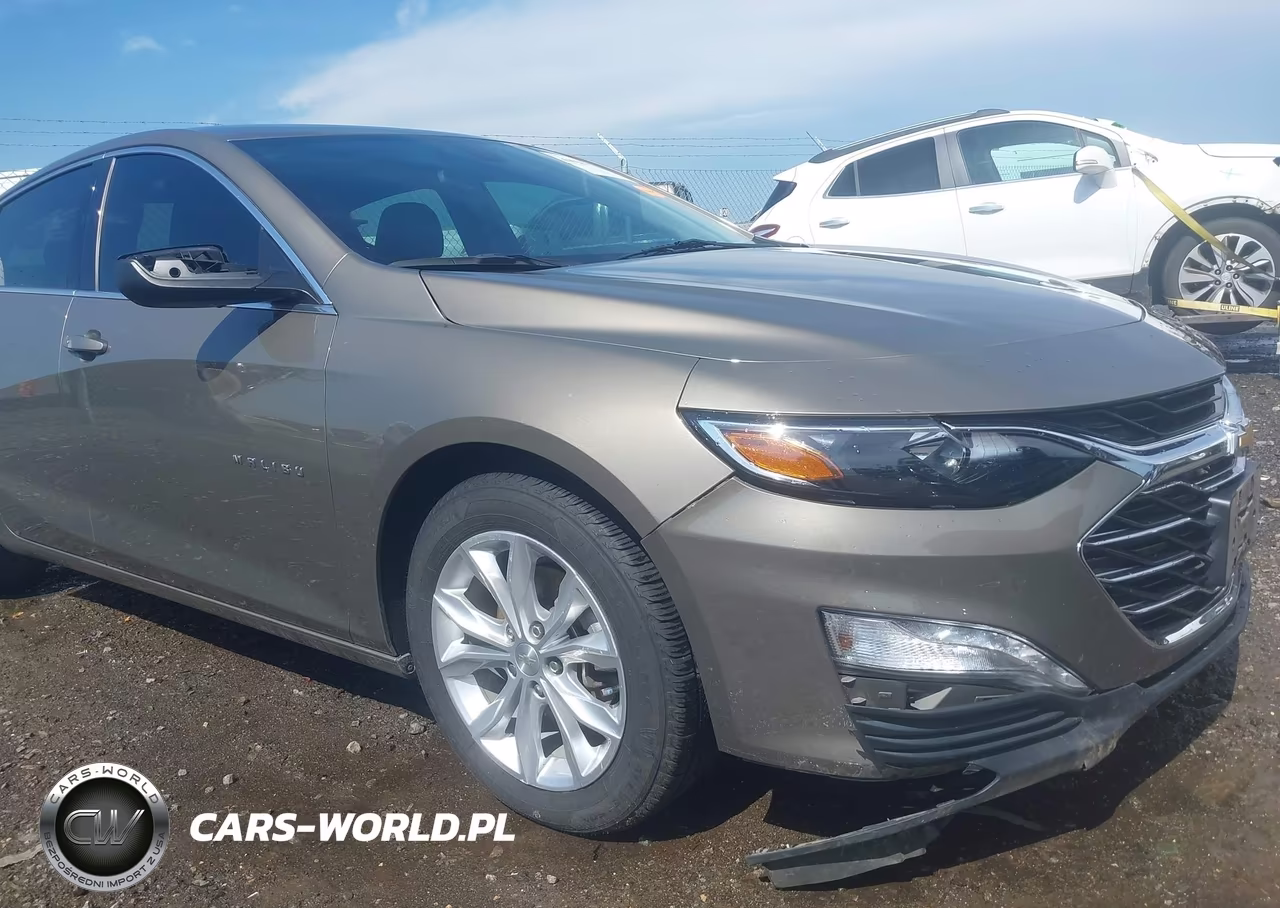 2020 Chevrolet Malibu Fwd Lt VIN:1G1ZD5ST0LF010229 - 19