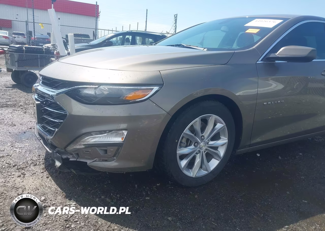 2020 Chevrolet Malibu Fwd Lt VIN:1G1ZD5ST0LF010229 - 20