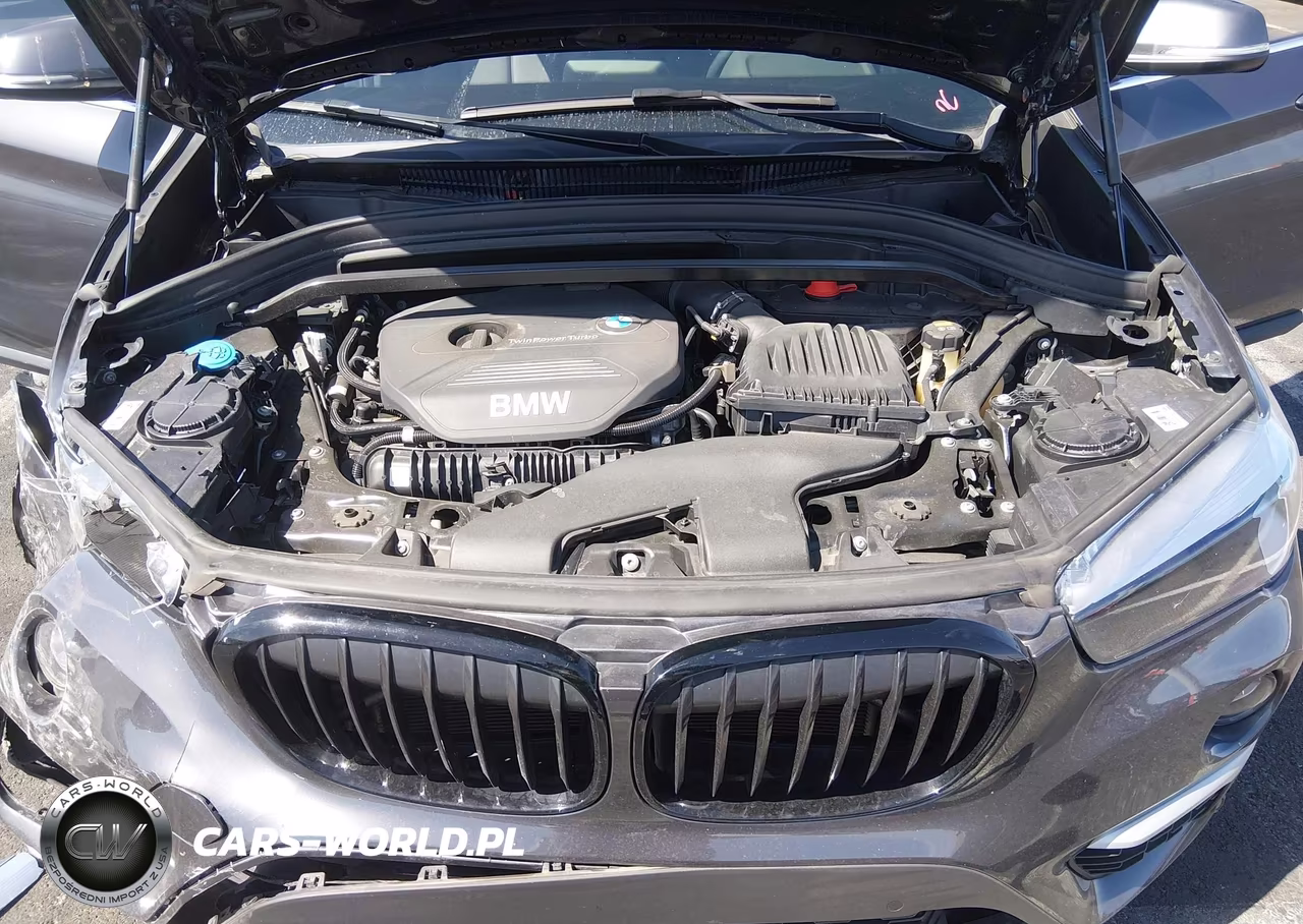 2019 BMW X1 Sdrive28I VIN:WBXHU7C57K3H46332 - 10