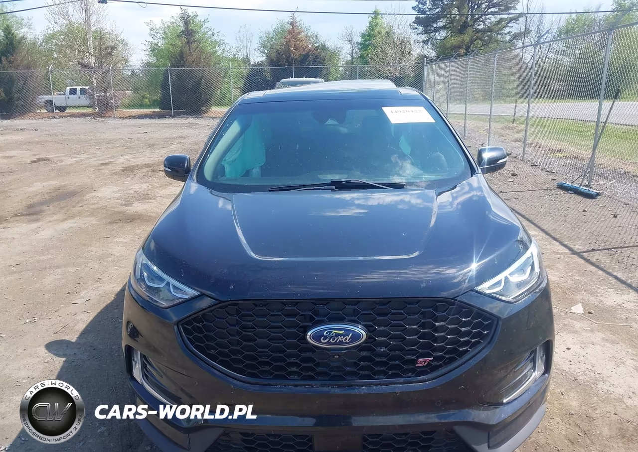 2019 Ford Edge St VIN:2FMPK4AP1KBB28174 - 12
