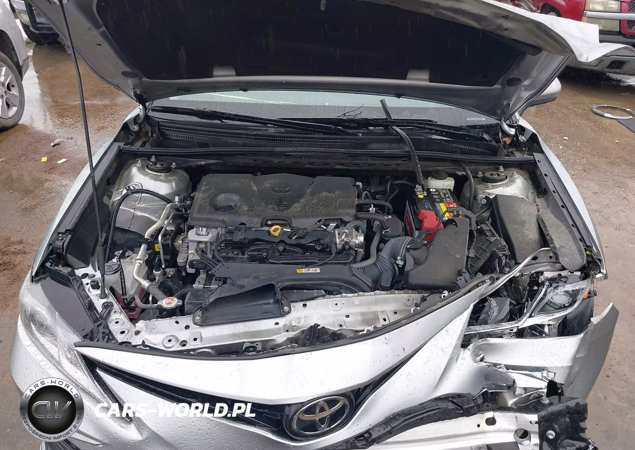 2021 Toyota Camry Le VIN:4T1C11AKXMU604181 - 10
