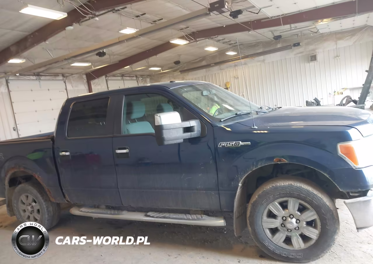 2012 Ford F-150 Xlt VIN:1FTFW1EF7CFA62816 - 13