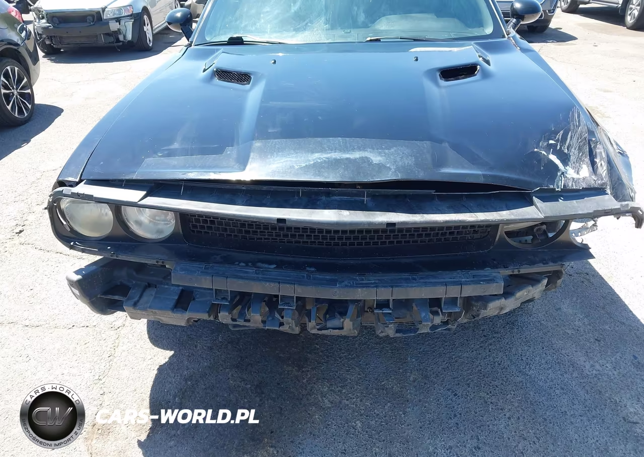 2010 Dodge Challenger Se VIN:2B3CJ4DV3AH270099 - 6