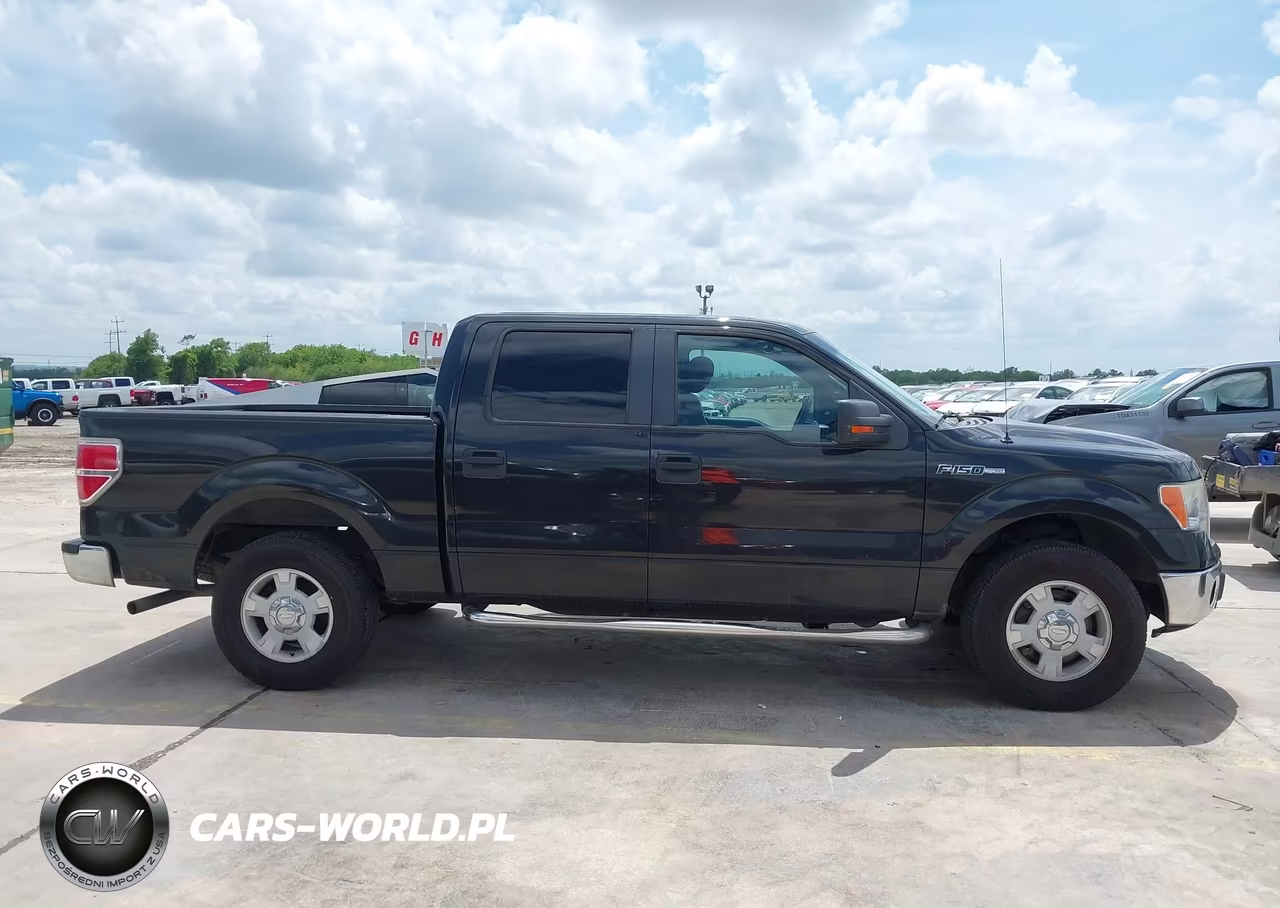 2012 Ford F-150 Xlt VIN:1FTEW1CM6CFA70449 - 13