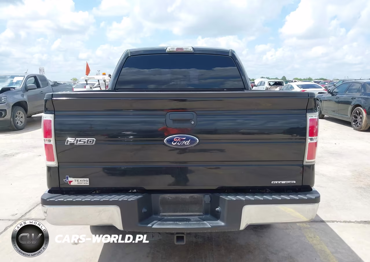 2012 Ford F-150 Xlt VIN:1FTEW1CM6CFA70449 - 16