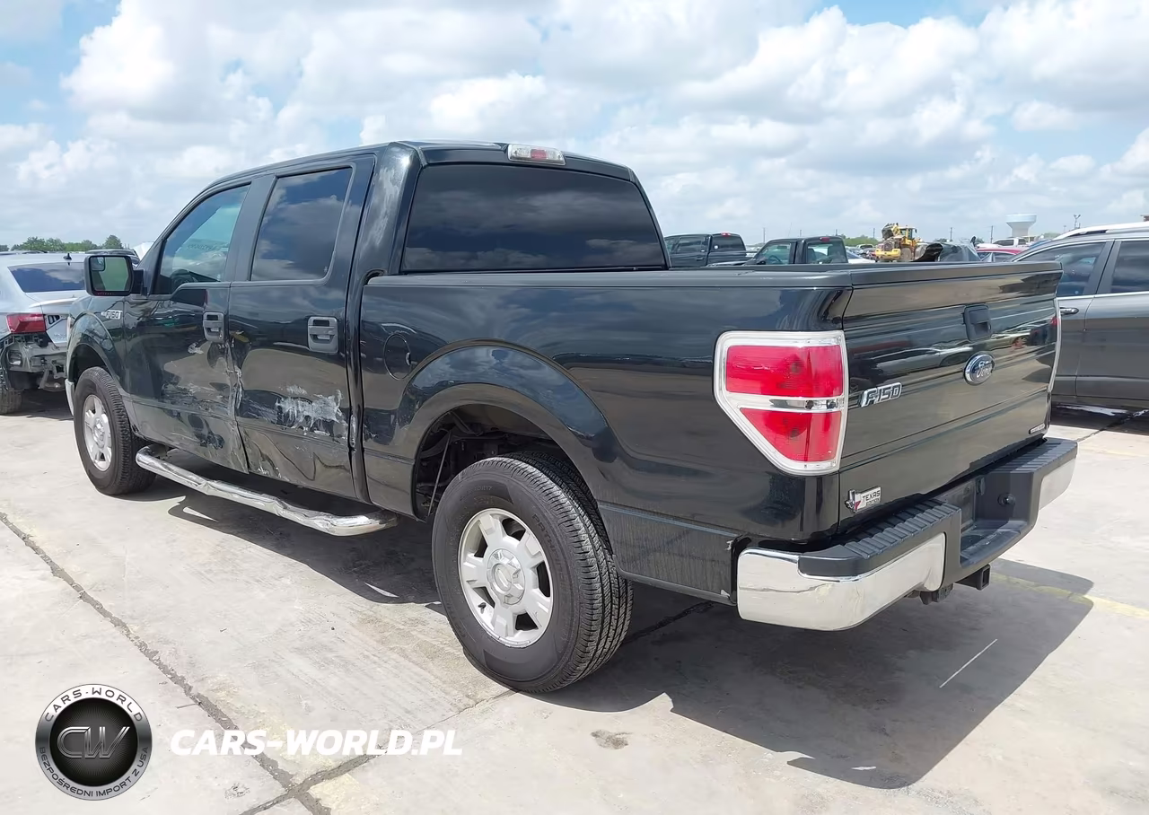 2012 Ford F-150 Xlt VIN:1FTEW1CM6CFA70449 - 3