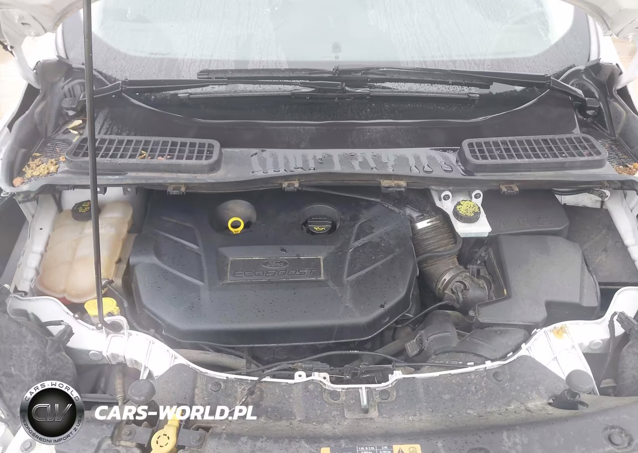 2016 Ford Escape Titanium VIN:1FMCU0J96GUC60366 - 10