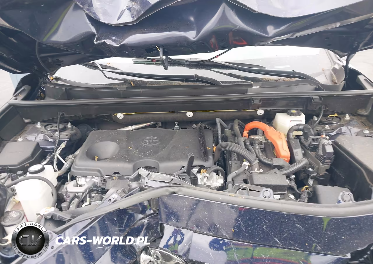 2025 Toyota Rav4 Hybrid Xle VIN:JTMRWRFV2SD315035 - 10