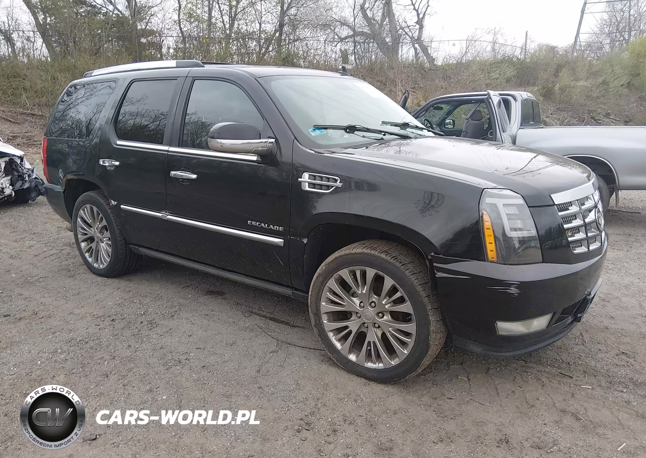 2010 Cadillac Escalade Premium