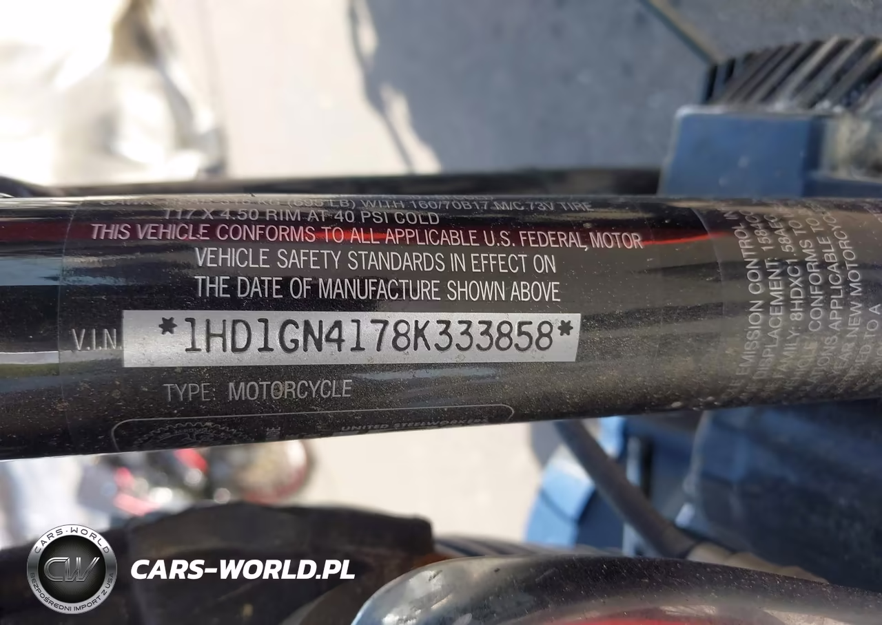 2008 Harley-Davidson Fxdl VIN:1HD1GN4178K333858 - 10