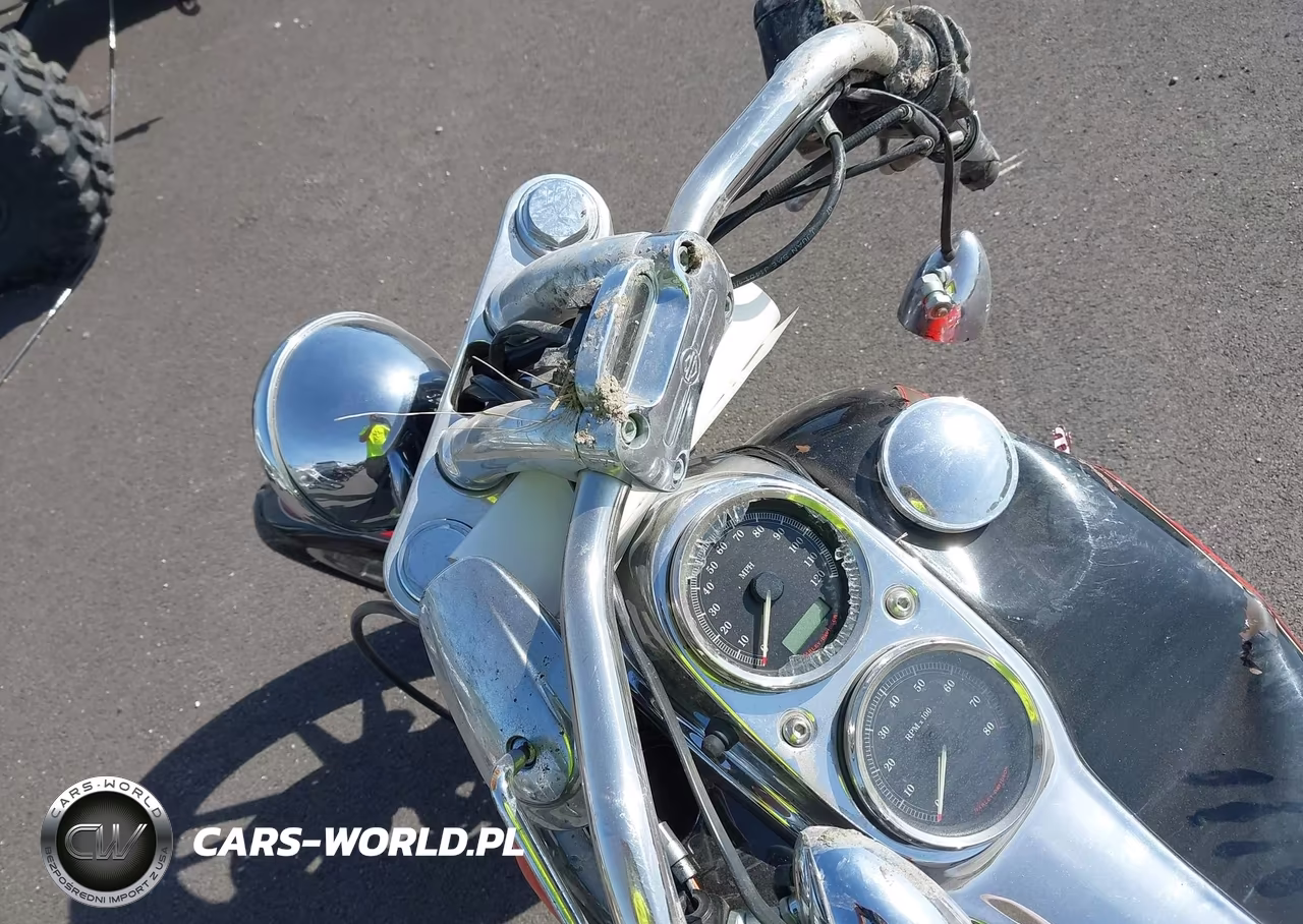 2008 Harley-Davidson Fxdl VIN:1HD1GN4178K333858 - 14