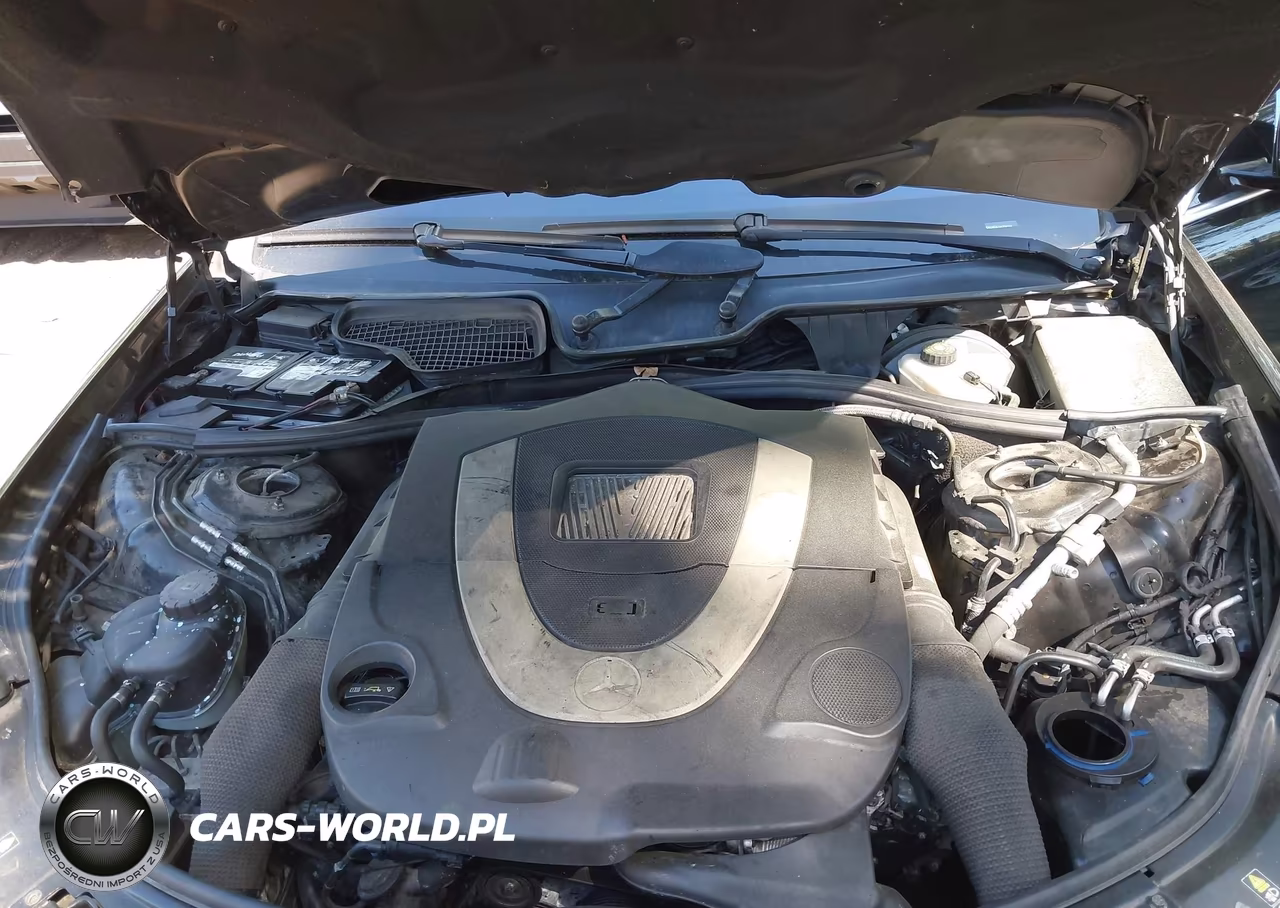 2010 Mercedes-Benz S 550 4Matic VIN:WDDNG8GB1AA306536 - 10