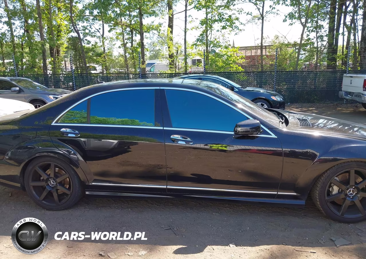 2010 Mercedes-Benz S 550 4Matic VIN:WDDNG8GB1AA306536 - 13