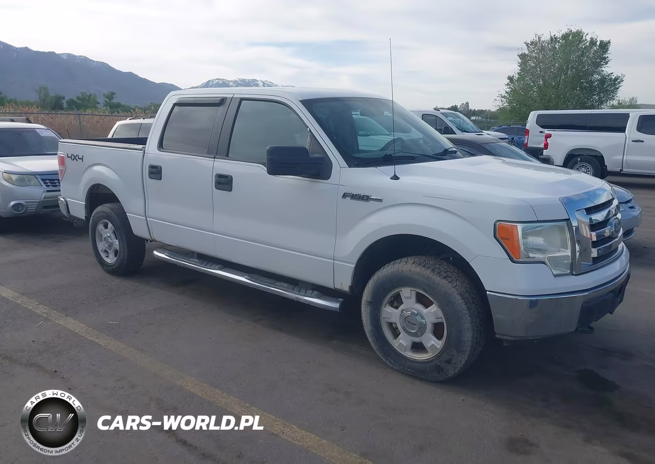 2010 Ford F-150 Xl-Xlt