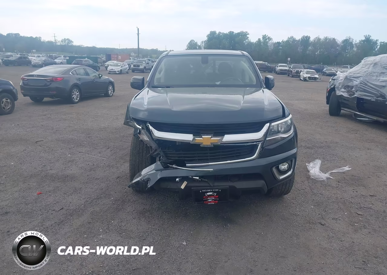 2019 Chevrolet Colorado Lt VIN:1GCGSCEN1K1290745 - 12