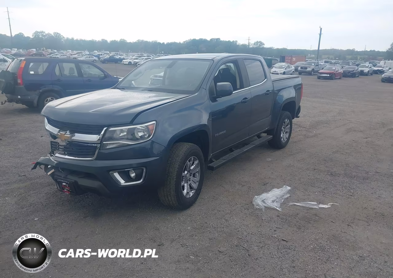 2019 Chevrolet Colorado Lt VIN:1GCGSCEN1K1290745 - 2