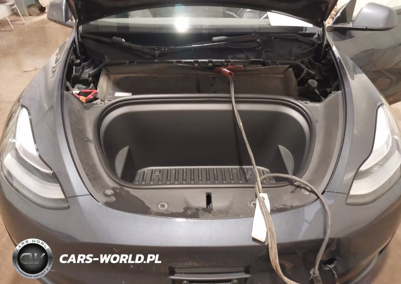 2023 Tesla Model Y Awd-Long Range Dual Motor All-Wheel Drive VIN:7SAYGDEEXPA155869 - 10