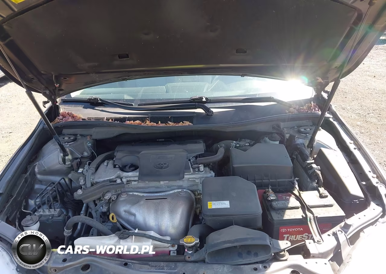 2015 Toyota Camry Le VIN:4T4BF1FK7FR511164 - 10