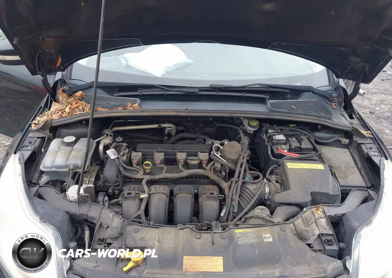 2013 Ford Focus Se VIN:1FADP3F25DL163941 - 10