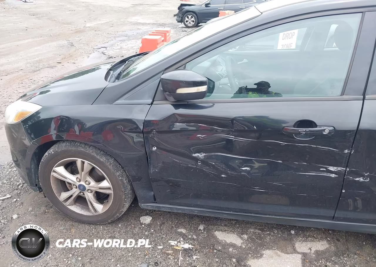 2013 Ford Focus Se VIN:1FADP3F25DL163941 - 17