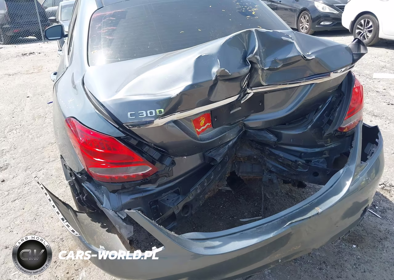 2017 Mercedes-Benz C 300 Luxury VIN:55SWF4JB2HU183218 - 17