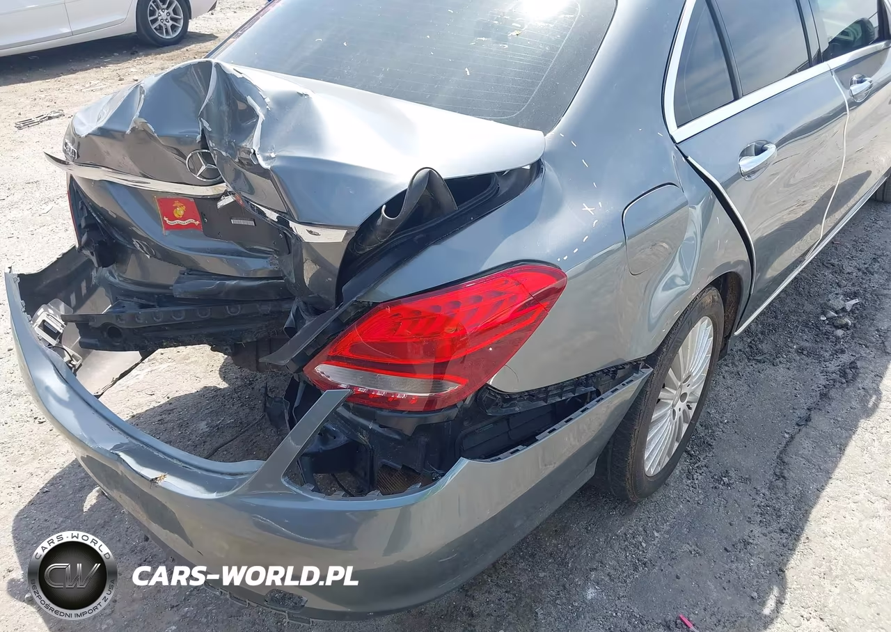 2017 Mercedes-Benz C 300 Luxury VIN:55SWF4JB2HU183218 - 19