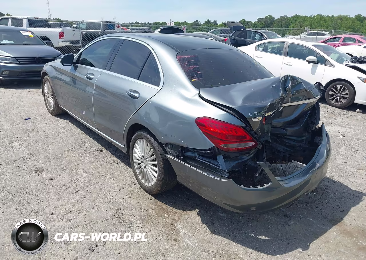 2017 Mercedes-Benz C 300 Luxury VIN:55SWF4JB2HU183218 - 3