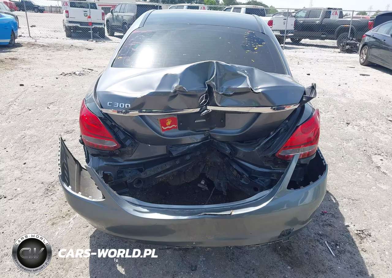 2017 Mercedes-Benz C 300 Luxury VIN:55SWF4JB2HU183218 - 6