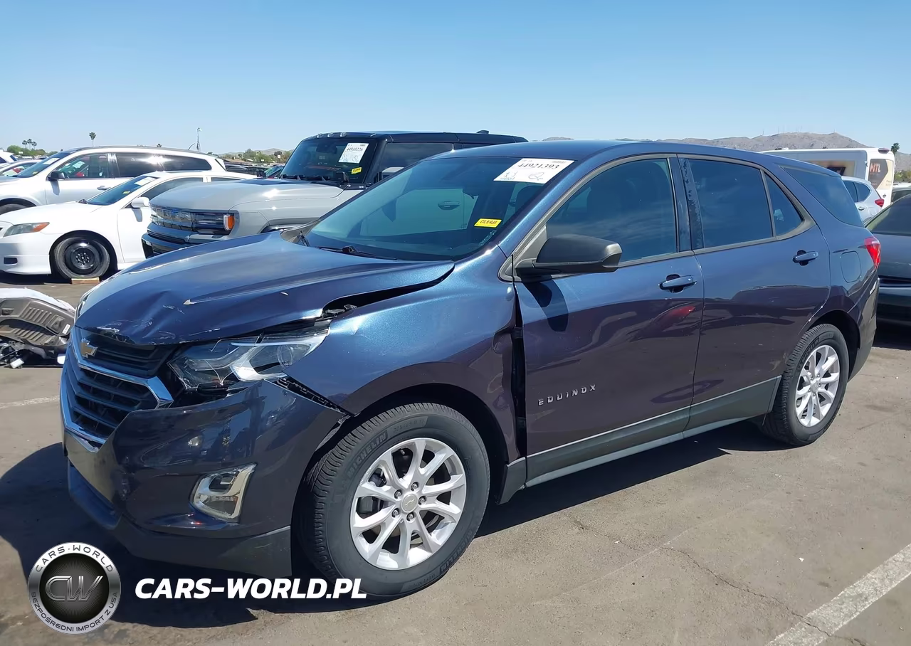 2019 Chevrolet Equinox Ls VIN:3GNAXHEV3KL313110 - 2