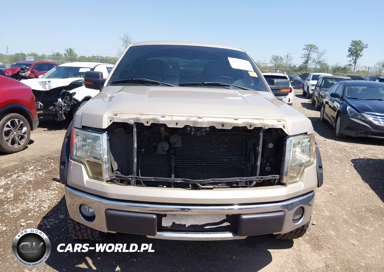 2010 Ford F-150 Fx4-Lariat-Xl-Xlt VIN:1FTFX1EV0AFA69589 - 12