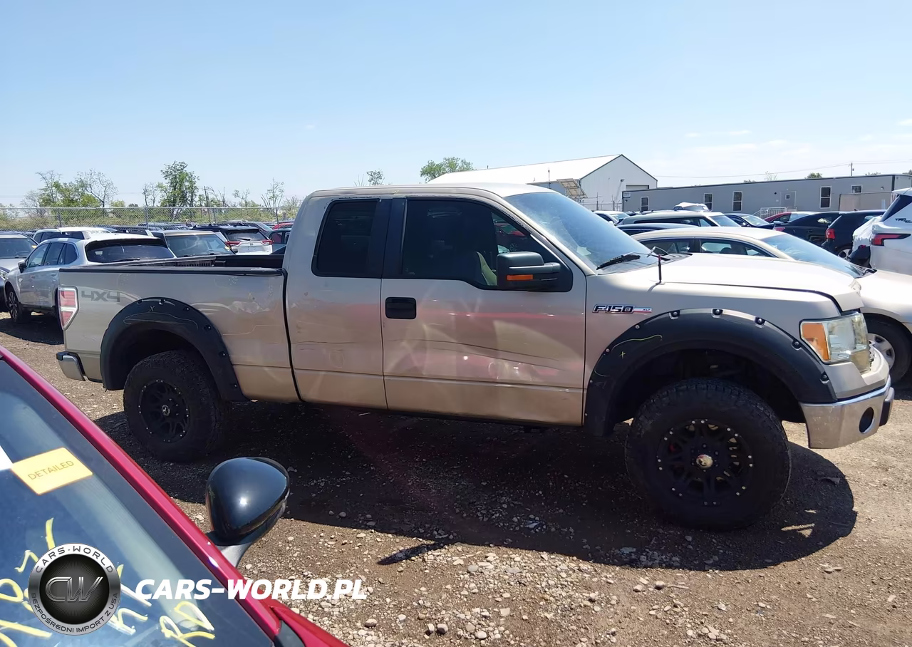 2010 Ford F-150 Fx4-Lariat-Xl-Xlt VIN:1FTFX1EV0AFA69589 - 13