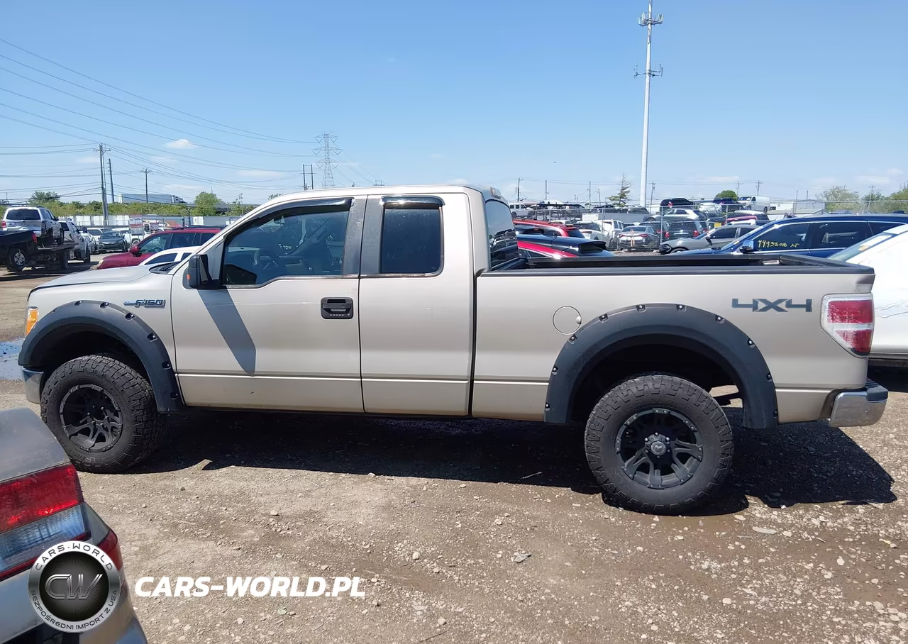 2010 Ford F-150 Fx4-Lariat-Xl-Xlt VIN:1FTFX1EV0AFA69589 - 14