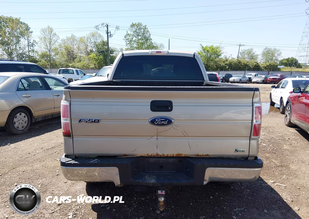2010 Ford F-150 Fx4-Lariat-Xl-Xlt VIN:1FTFX1EV0AFA69589 - 16