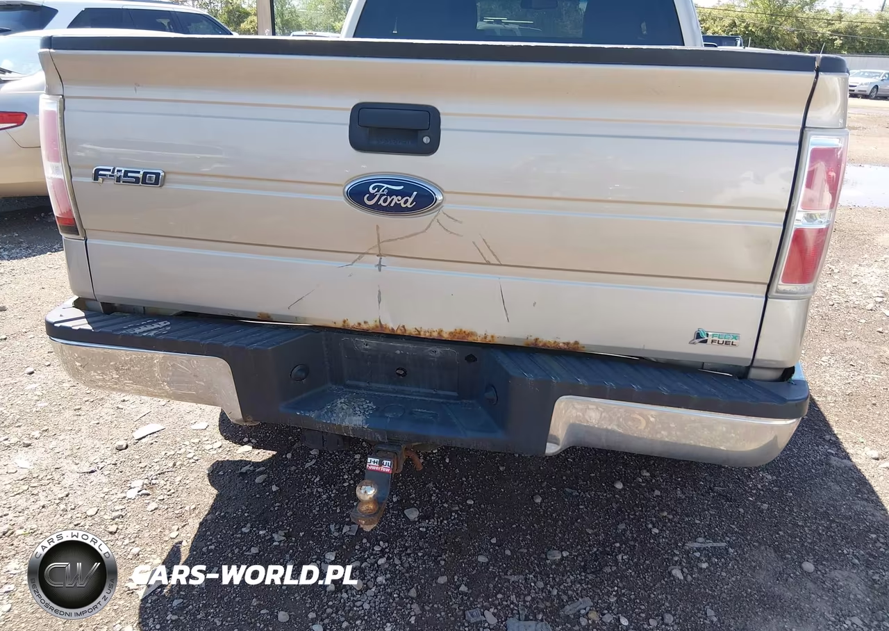 2010 Ford F-150 Fx4-Lariat-Xl-Xlt VIN:1FTFX1EV0AFA69589 - 18