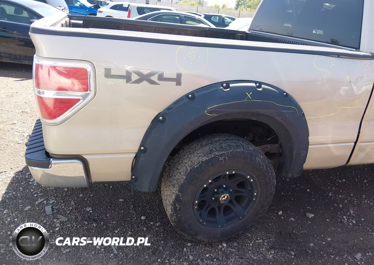 2010 Ford F-150 Fx4-Lariat-Xl-Xlt VIN:1FTFX1EV0AFA69589 - 19