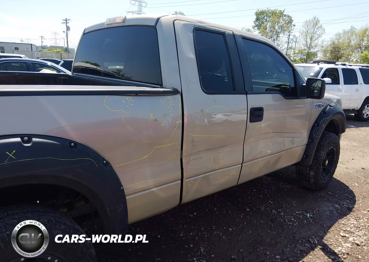 2010 Ford F-150 Fx4-Lariat-Xl-Xlt VIN:1FTFX1EV0AFA69589 - 20