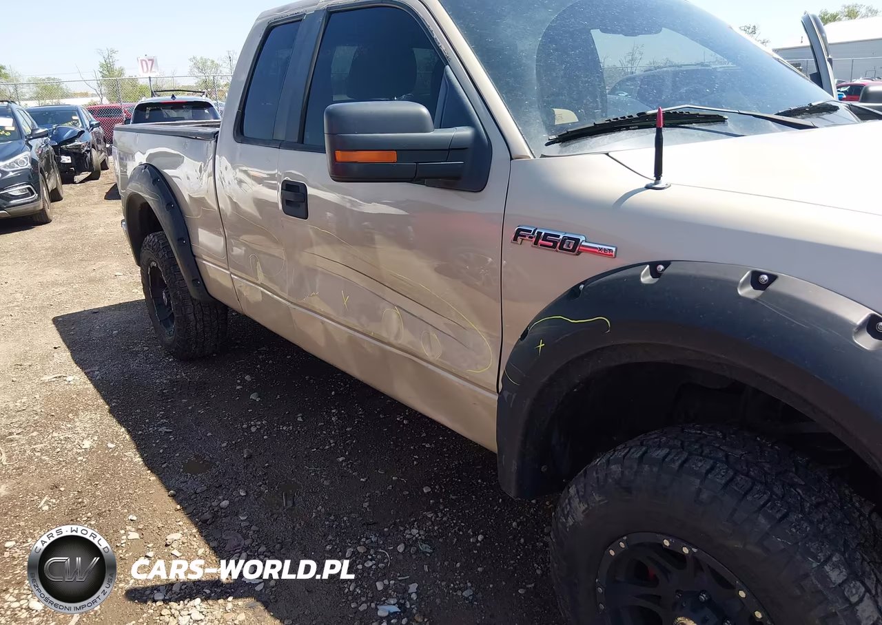 2010 Ford F-150 Fx4-Lariat-Xl-Xlt VIN:1FTFX1EV0AFA69589 - 21