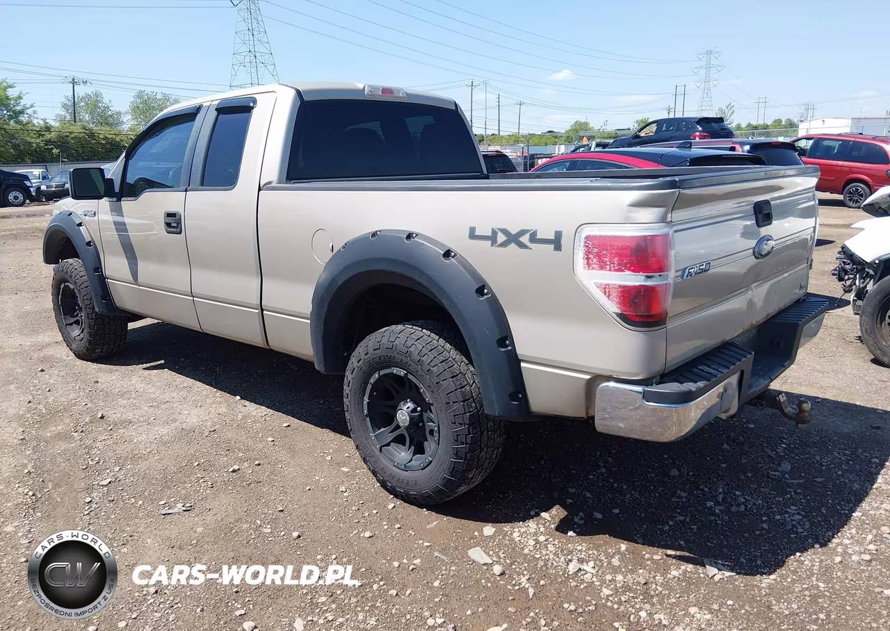 2010 Ford F-150 Fx4-Lariat-Xl-Xlt VIN:1FTFX1EV0AFA69589 - 3