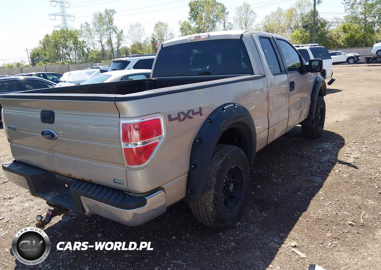 2010 Ford F-150 Fx4-Lariat-Xl-Xlt VIN:1FTFX1EV0AFA69589 - 4