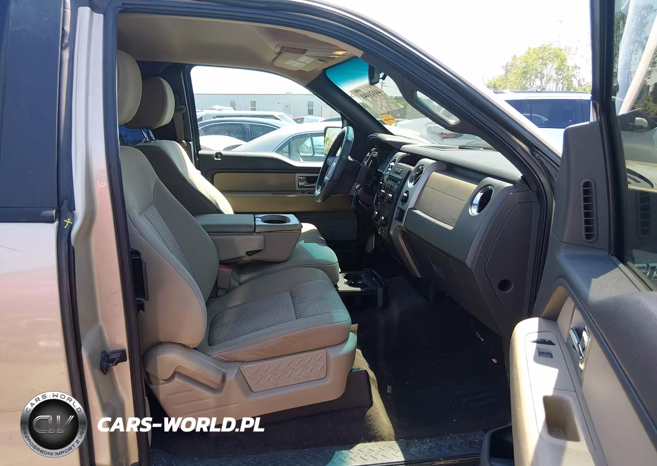 2010 Ford F-150 Fx4-Lariat-Xl-Xlt VIN:1FTFX1EV0AFA69589 - 5