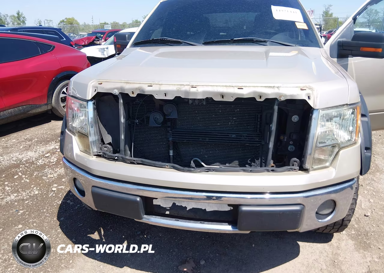 2010 Ford F-150 Fx4-Lariat-Xl-Xlt VIN:1FTFX1EV0AFA69589 - 6