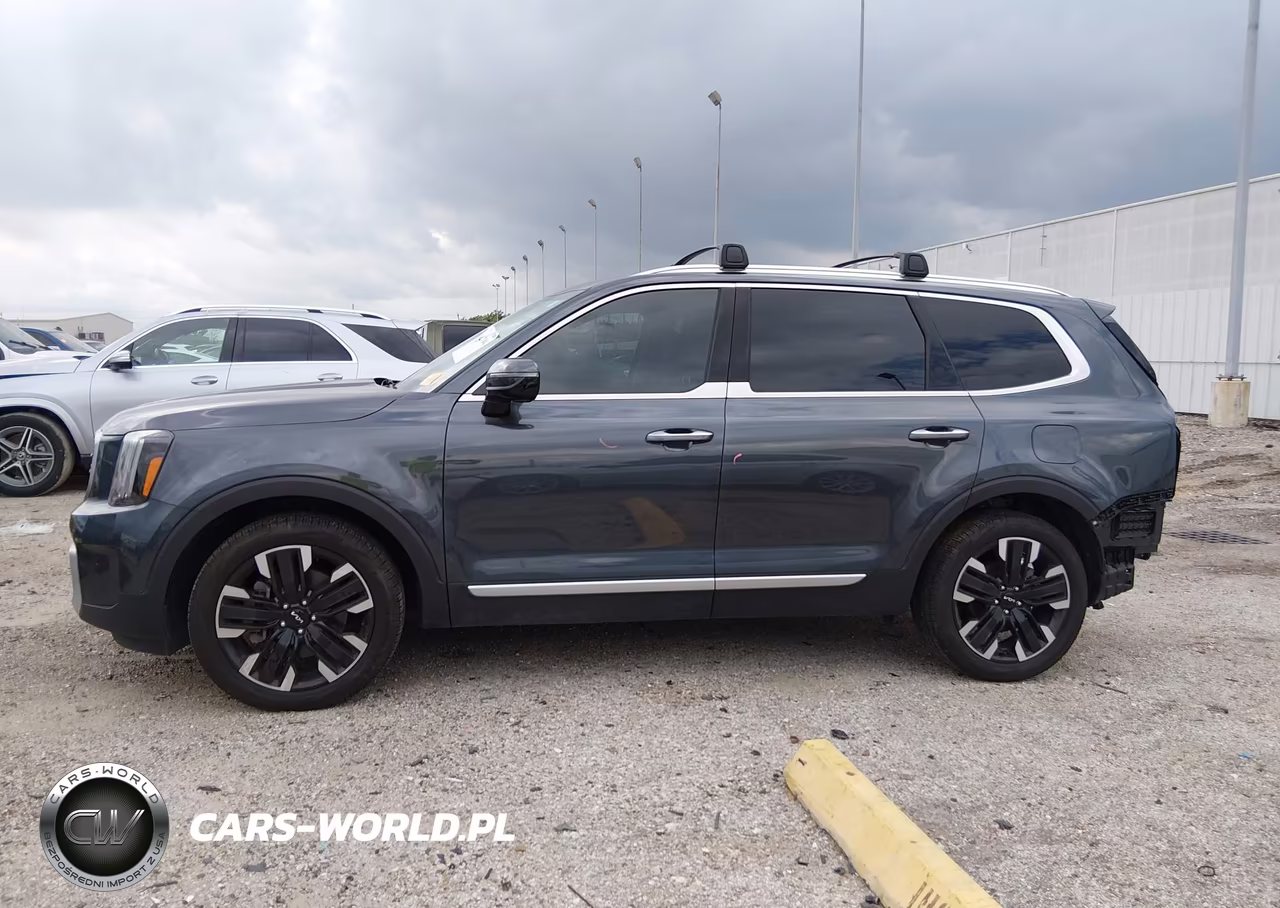 2024 Kia Telluride Sx VIN:5XYP54GC9RG549176 - 15