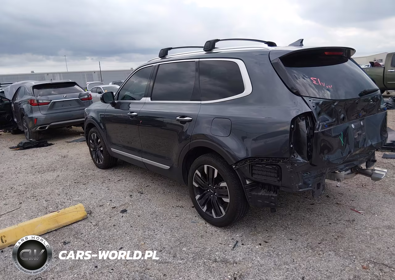 2024 Kia Telluride Sx VIN:5XYP54GC9RG549176 - 3
