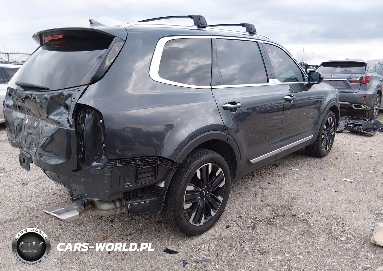 2024 Kia Telluride Sx VIN:5XYP54GC9RG549176 - 4