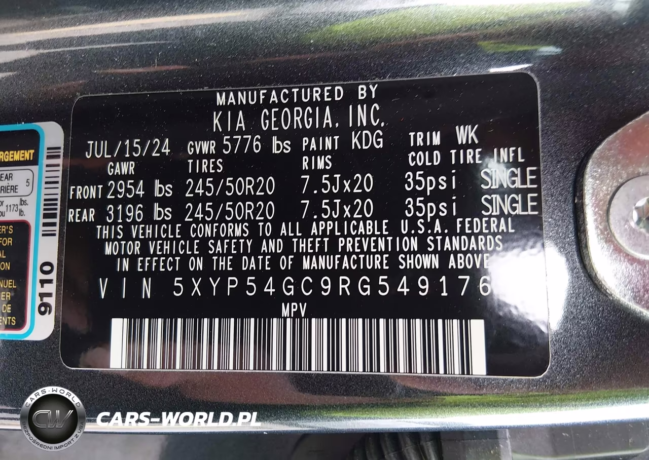 2024 Kia Telluride Sx VIN:5XYP54GC9RG549176 - 9