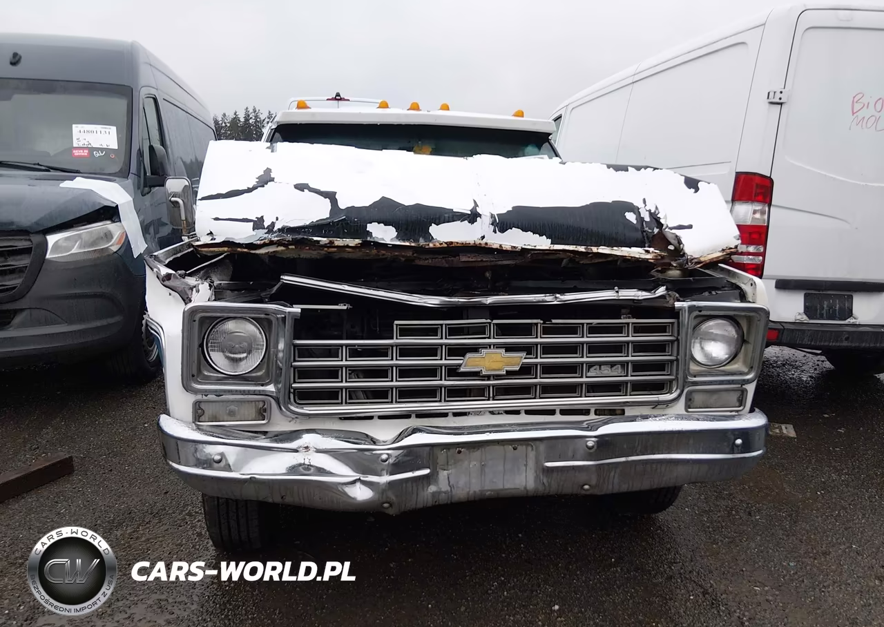 1976 Chev C30 Cab & Chassis 15 VIN:CCS346B155760 - 6