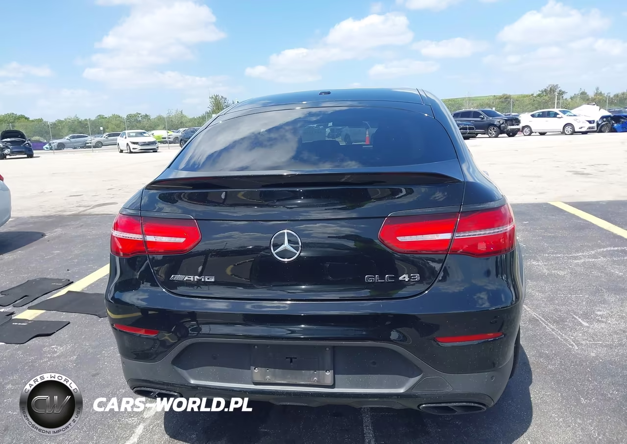 2018 Mercedes-Benz Amg Glc 43 Coupe 4Matic VIN:WDC0J6EB3JF427398 - 16