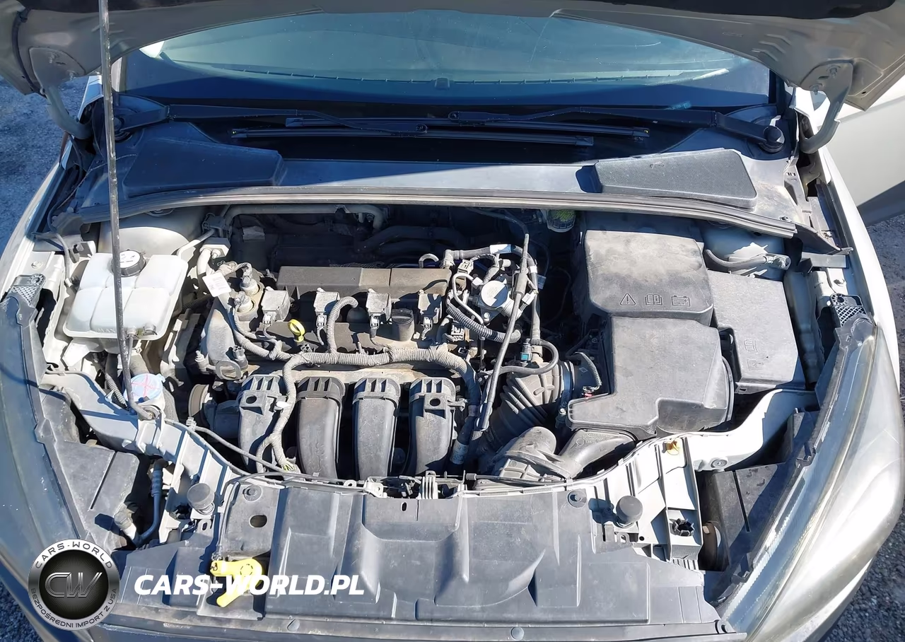 2016 Ford Focus Se VIN:1FADP3F22GL387298 - 10